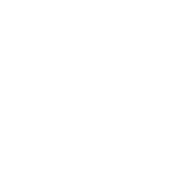 Nuevo Leon